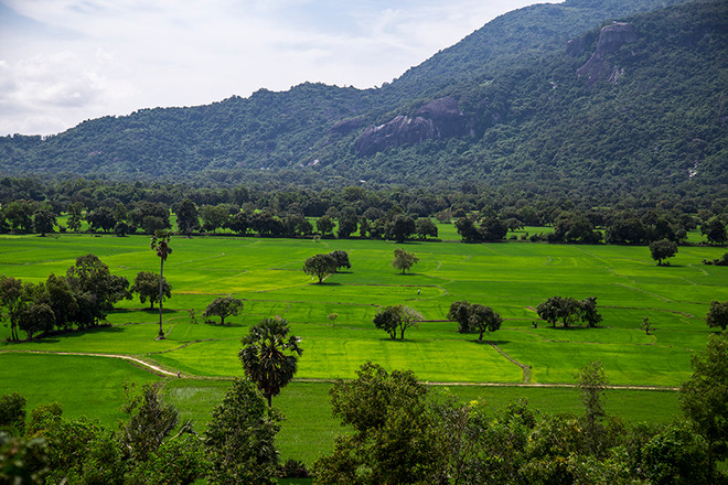5 trải nghiệm thú vị khi ngao du miền Tây mùa nước nổi ảnh 8