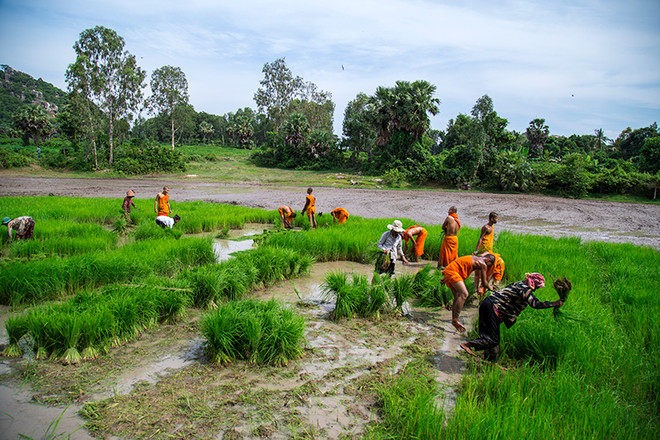 5 trải nghiệm thú vị khi ngao du miền Tây mùa nước nổi ảnh 15