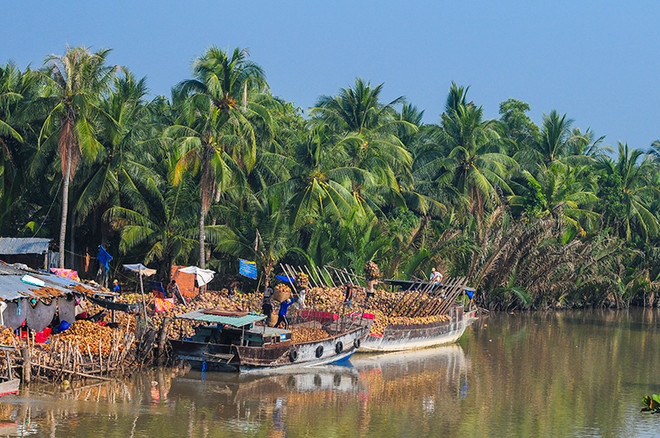 5 trải nghiệm thú vị khi ngao du miền Tây mùa nước nổi ảnh 4