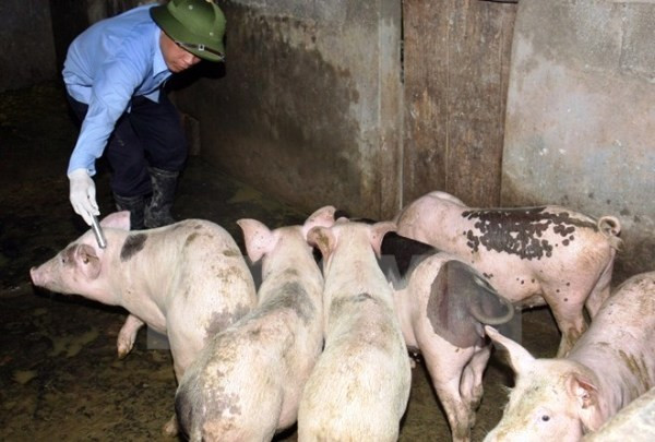 Cấm sử dụng kháng sinh trong chăn nuôi và thủy sản từ năm 2020 ảnh 1