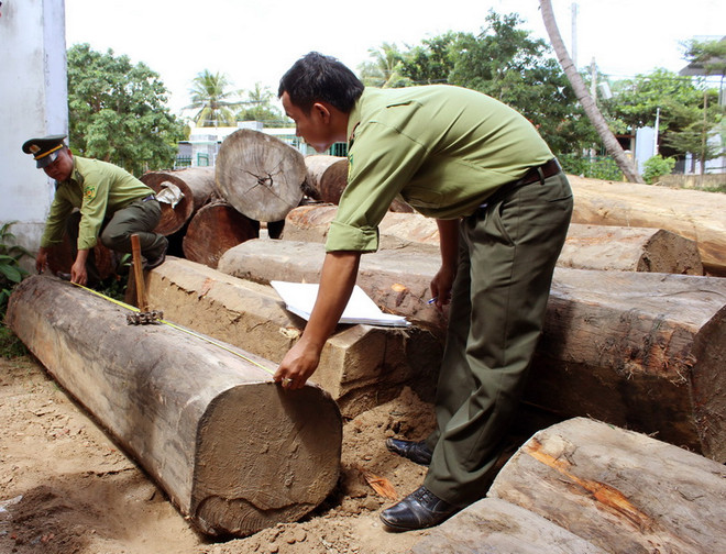 Đắk Nông: Lâm tặc dùng dao, gậy tấn công lực lượng kiểm lâm ảnh 1