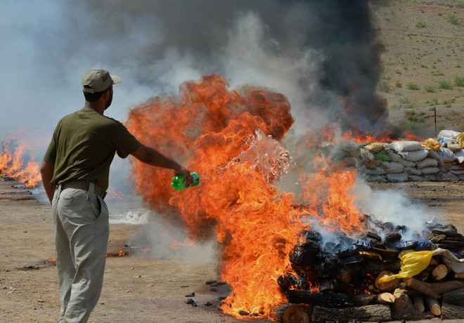 [Photo] Pakistan tiến hành tiêu hủy số lượng lớn ma túy ảnh 2
