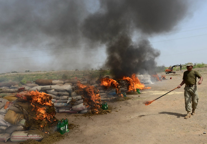 [Photo] Pakistan tiến hành tiêu hủy số lượng lớn ma túy ảnh 1