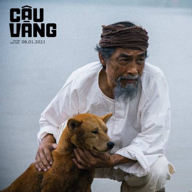 Lão Hạc và "cậu Vàng": Áp lực từ sức nặng của tác phẩm kinh điển ảnh 1