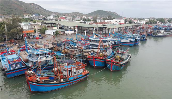 Các tỉnh theo dõi chặt chẽ diễn biến mưa lũ để chủ động ứng phó ảnh 2