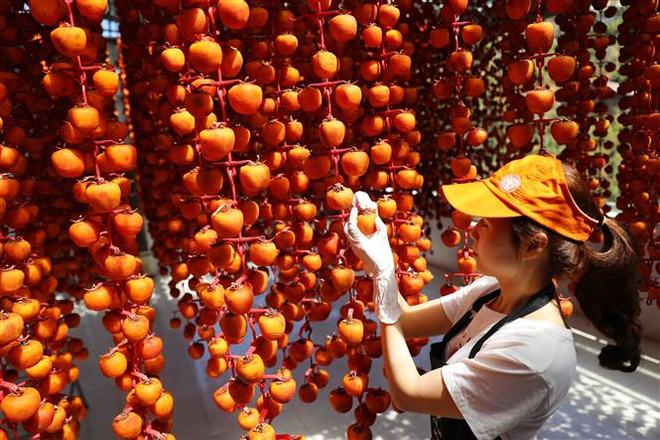 Lâm Đồng đề xuất đưa 177 sản phẩm OCOP lên sàn thương mại điện tử ảnh 1