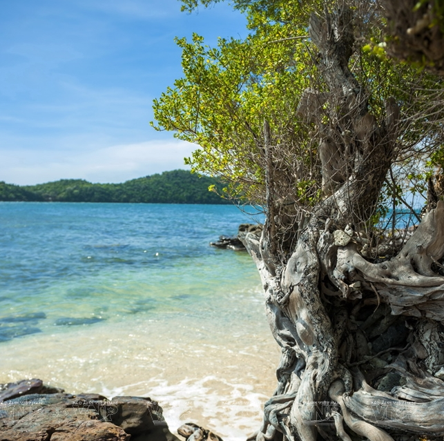 Khám phá vẻ đẹp hoang sơ của An Thới với dải san hô đẹp nhất Việt Nam ảnh 6