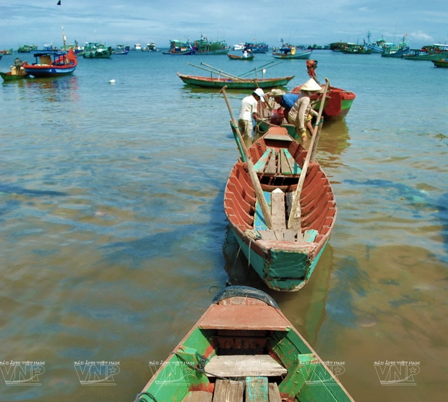 Khám phá vẻ đẹp hoang sơ của An Thới với dải san hô đẹp nhất Việt Nam ảnh 7