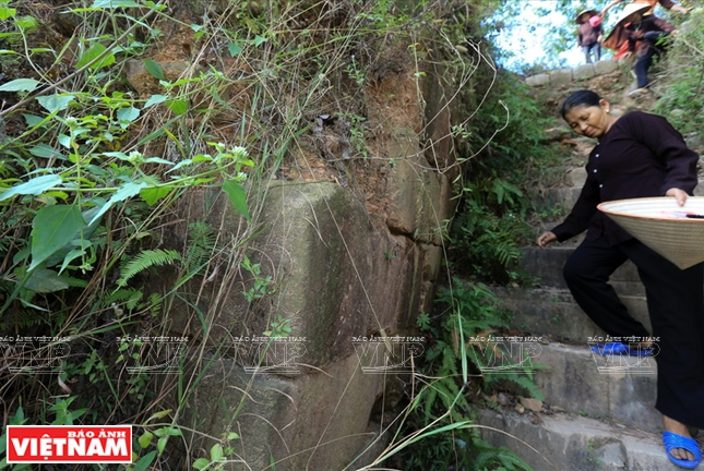 Bí ẩn cột đá chùa Dạm tạo sức hút kỳ diệu với du khách thập phương ảnh 7