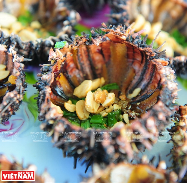 Khám phá vẻ đẹp hoang sơ của An Thới với dải san hô đẹp nhất Việt Nam ảnh 8