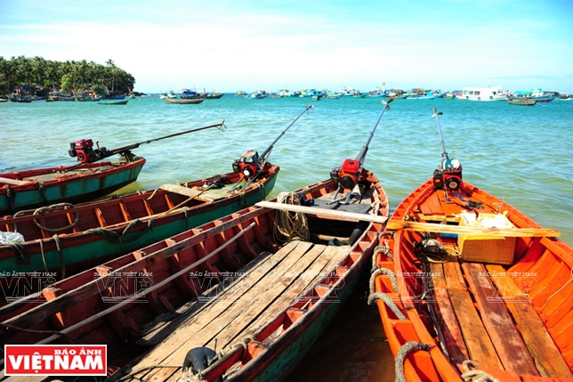 Khám phá vẻ đẹp hoang sơ của An Thới với dải san hô đẹp nhất Việt Nam ảnh 5