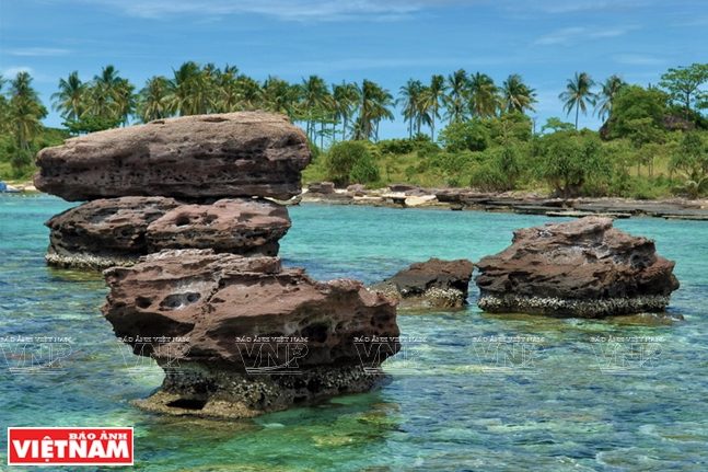 Khám phá vẻ đẹp hoang sơ của An Thới với dải san hô đẹp nhất Việt Nam ảnh 4