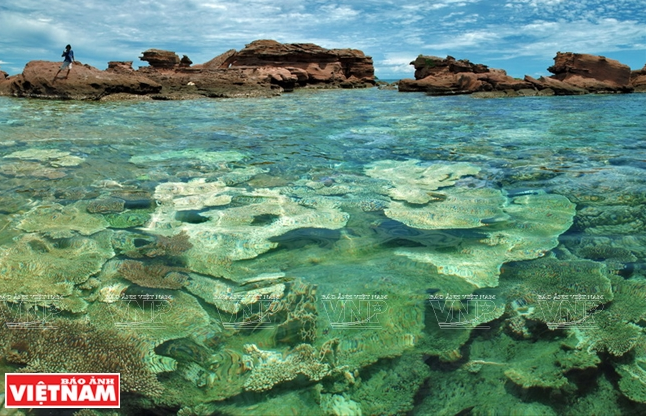 Khám phá vẻ đẹp hoang sơ của An Thới với dải san hô đẹp nhất Việt Nam ảnh 2