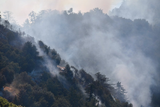 Các công ty bảo hiểm Mỹ phải bồi thường hơn 3 tỷ USD do cháy rừng ảnh 1