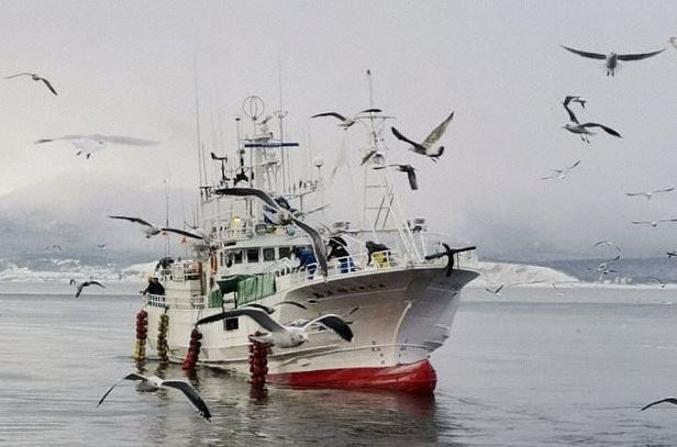 Nga trả tự do cho tàu cá Nhật Bản bị bắt tại vùng biến tranh chấp ảnh 1