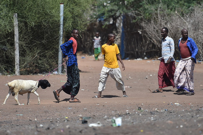 UNHCR hỗ trợ hơn 81.000 người Somalia tự nguyện hồi hương từ Kenya ảnh 1