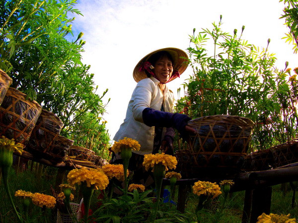 Đồng Tháp hợp tác với Hà Lan về nông nghiệp công nghệ cao ảnh 1