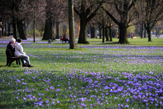 Nước Anh trải qua tháng Một nắng ấm nhất trong hơn 10 năm qua ảnh 1