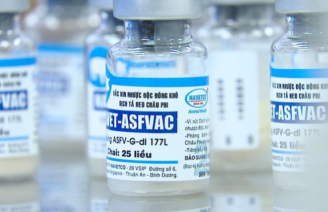 Báo Pháp đánh giá cao Việt Nam phát triển vaccine tả lợn châu Phi ảnh 1