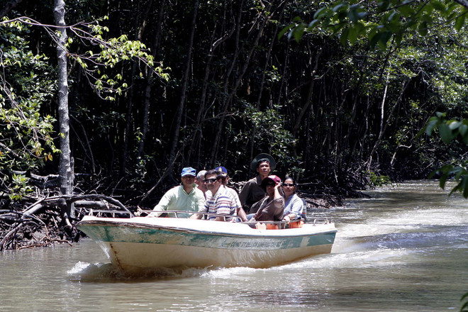 TP. HCM xây dựng trung tâm hỗ trợ du khách du trong 2015 ảnh 1