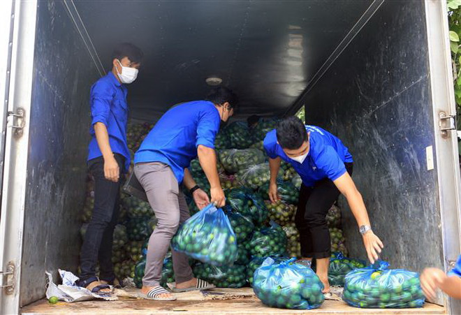 TP. HCM phát huy vai trò đầu mối mua chung trong khu dân cư ảnh 2