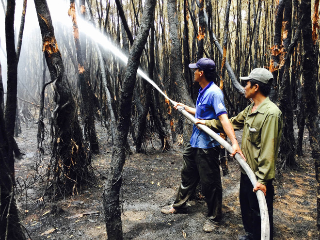 Chủ động phòng chống cháy rừng ở Vườn quốc gia U Minh Hạ ảnh 1