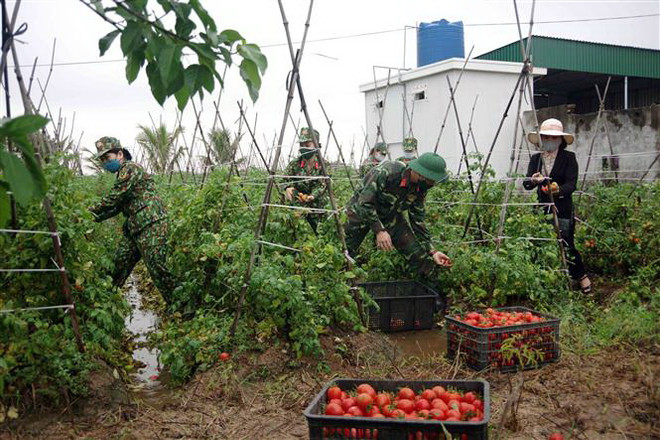Tiêu thụ nông sản trong tình huống khẩn cấp: Hệ quả từ đối lập tư duy ảnh 2