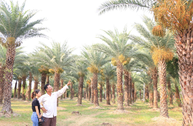 Du lịch Đồng Tháp tự làm mới mình để thích ứng với thời đại dịch ảnh 2