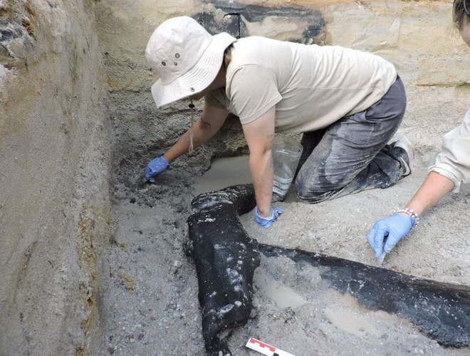 Phát hiện công trình bằng gỗ có thể có từ cách đây gần 500.000 năm ảnh 1