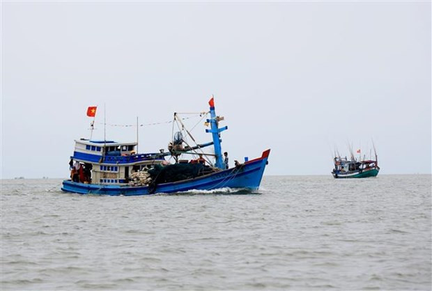 Tàu cá của ngư dân Việt Nam. (Ảnh minh họa. Hồng Đạt/TTXVN) Việt Nam ký Hiệp định về Biển cả tại Tuần lễ Cấp cao Đại hội đồng LHQ ảnh 1