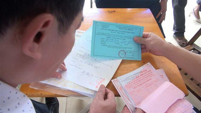 [Video] Hà Nội sẽ thanh tra đồng loạt vệ sinh an toàn thực phẩm ảnh 1