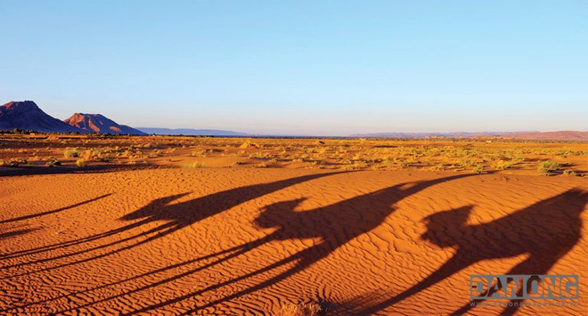 Biển cát mênh mông Sahara. Vẻ đẹp mê hồn len lỏi qua từng ngõ ngách ở đất nước Maroc ảnh 8