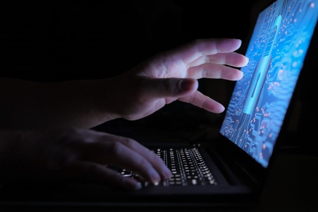Ảnh minh họa. (Nguồn: straitstimes.com) Trang web Ủy ban bầu cử Đức bị sập do tin tặc tấn công ảnh 1