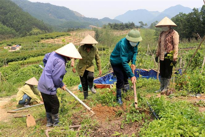 Khoảng 289 triệu ha rừng sẽ bị tàn phá trong giai đoạn 2016-2050 ảnh 2