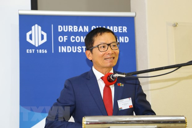 Cơ hội đẩy mạnh ngoại giao kinh tế Việt Nam-Nam Phi với địa phương ảnh 2