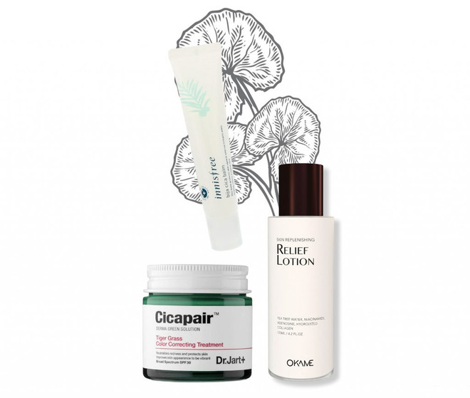 Xua tan nỗi lo về mụn chỉ với 3 món mỹ phẩm có chiết xuất rau má ảnh 2