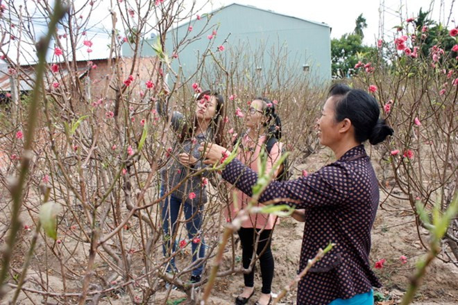 Các tỉnh miền Bắc sẽ nắng ấm, nhiệt độ cao nhất trên 29 độ C ảnh 1
