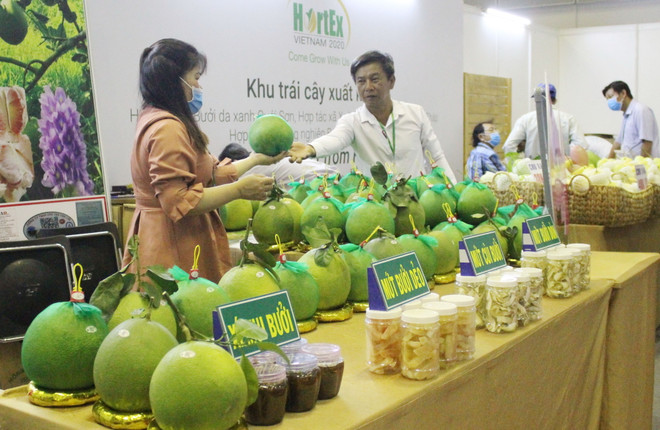 Gian hàng bưởi da xanh Bến Tre. (Ảnh: Xuân Anh/TTXVN) 150 doanh nghiệp dự triển lãm về công nghệ chế biến rau, hoa, quả ảnh 1