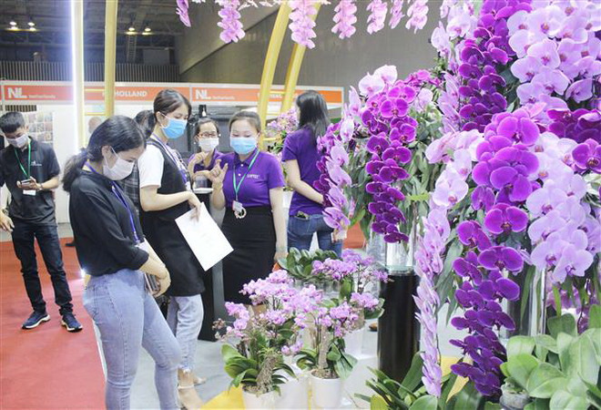 Khách tham quan gia hàng hoa lan. (Ảnh: Xuân Anh/TTXVN) 150 doanh nghiệp dự triển lãm về công nghệ chế biến rau, hoa, quả ảnh 2