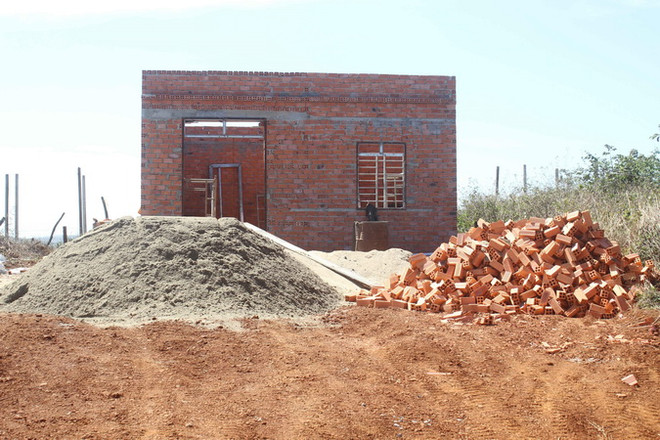 Xử lý đối tượng chiếm dụng đất lâm nghiệp theo phản ánh của TTXVN ảnh 1