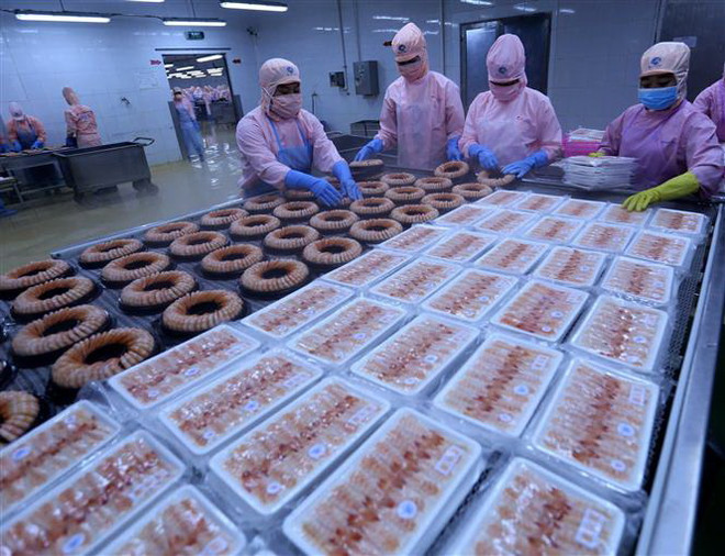 Viện McKinsey đánh giá tích cực triển vọng phát triển kinh tế Việt Nam ảnh 1