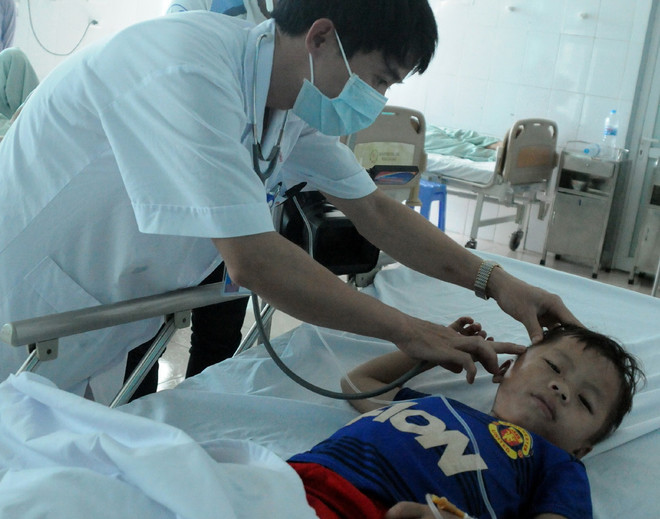 Hà Nội: Hơn 50 học sinh tiểu học Yên Sở bị ong đốt đã xuất viện ảnh 1