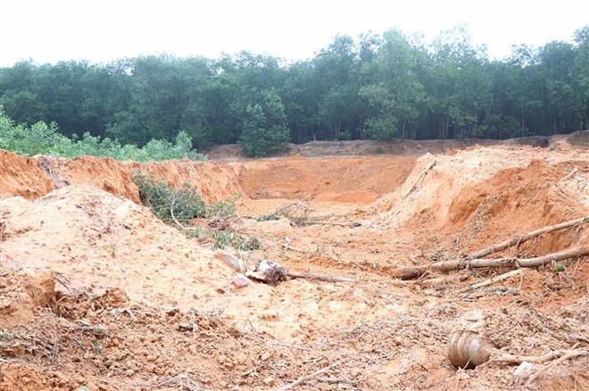 Quảng Trị: Chính quyền lơ là, các đối tượng ồ ạt đào đất rừng đem bán ảnh 2