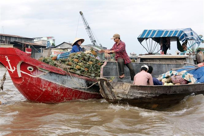 Chợ nổi Cái Răng được công nhận là “Di sản Văn hóa phi vật thể quốc gia”, trở thành biểu tượng du lịch đặc trưng của thành phố Cần Thơ. (Ảnh: Thanh Vũ/TTXVN) Chợ nổi Đồng bằng sông Cửu Long: Tạo điểm nhấn cho sản phẩm du lịch ảnh 2