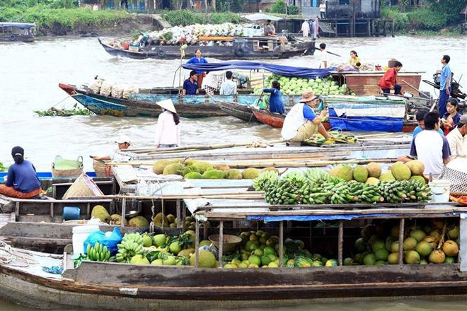 Chợ nổi Ba Ngàn (thị xã Ngã Bảy, tỉnh Hậu Giang) tấp nập ghe xuồng với bạt ngàn đặc sản hoa trái phục vụ thị trường Tết Nguyên đán. (Ảnh: Duy Khương/TTXVN) Chợ nổi Đồng bằng sông Cửu Long: Tạo điểm nhấn cho sản phẩm du lịch ảnh 3