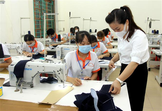 Cơ sở giáo dục nghề nghiệp không cập nhật văn bằng sẽ bị đình chỉ ảnh 1