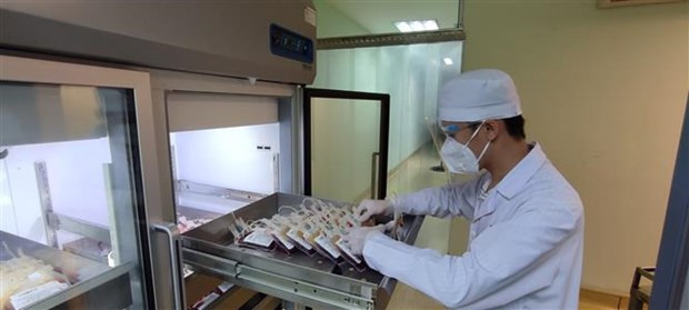 Bộ Y tế điều phối, không để thiếu máu điều trị người bệnh tại Bạc Liêu ảnh 1