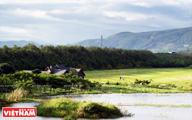 Khám phá khung cảnh thôn quê châu Âu ở Lâm Đồng ảnh 1