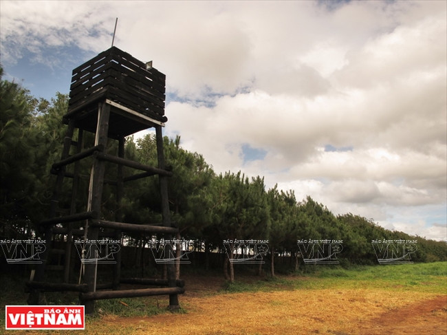 Khám phá khung cảnh thôn quê châu Âu ở Lâm Đồng ảnh 8