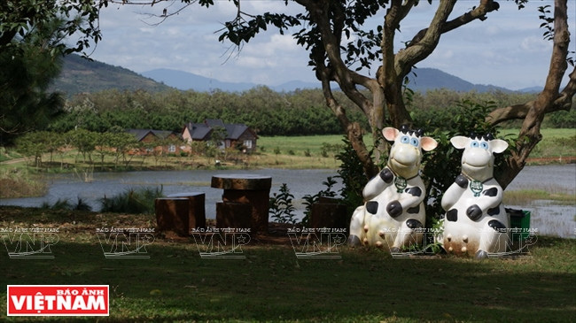 Khám phá khung cảnh thôn quê châu Âu ở Lâm Đồng ảnh 9